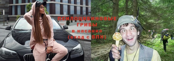 метадон Белокуриха