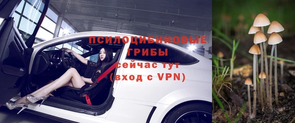 метадон Белокуриха